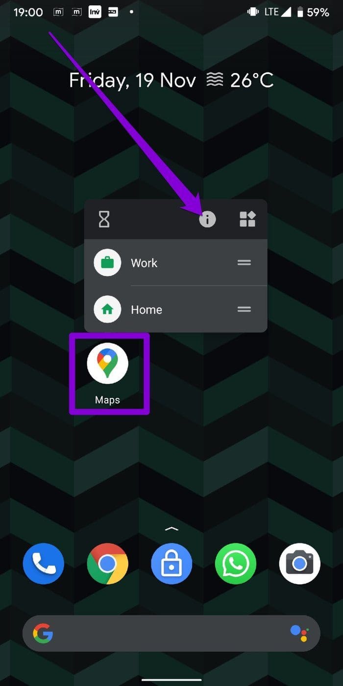Open Google Maps App Info