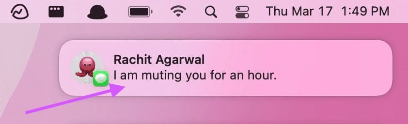 3. Temporarily mute notifications 1