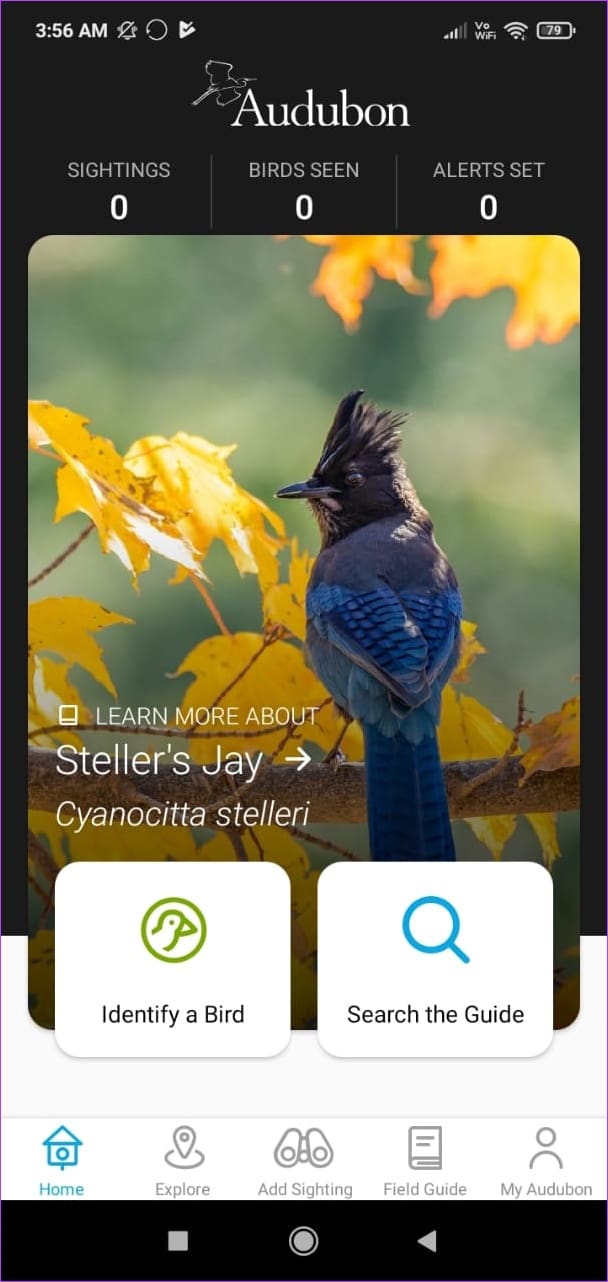 Audubon Bird Guide 1