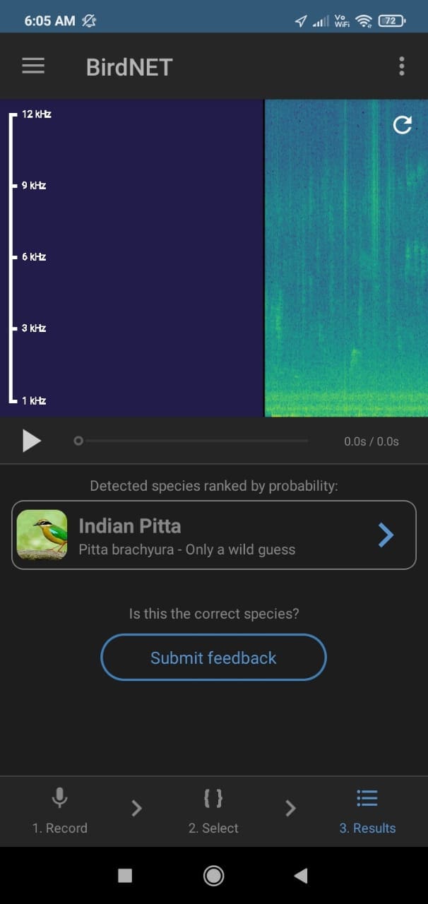 BirdNET App 1
