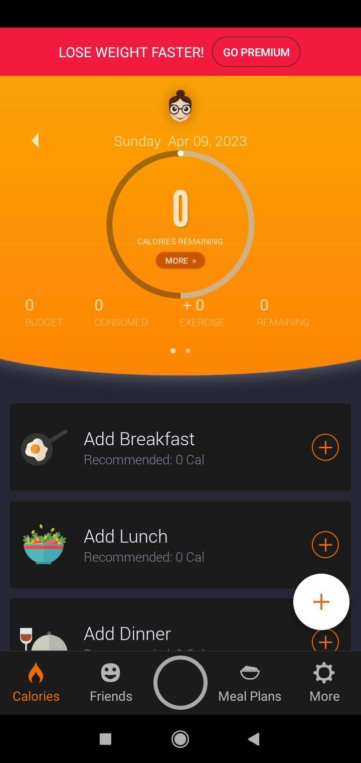 CALORIE MAMA 1