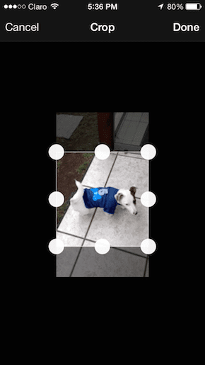 5 Seconds App Crop 2
