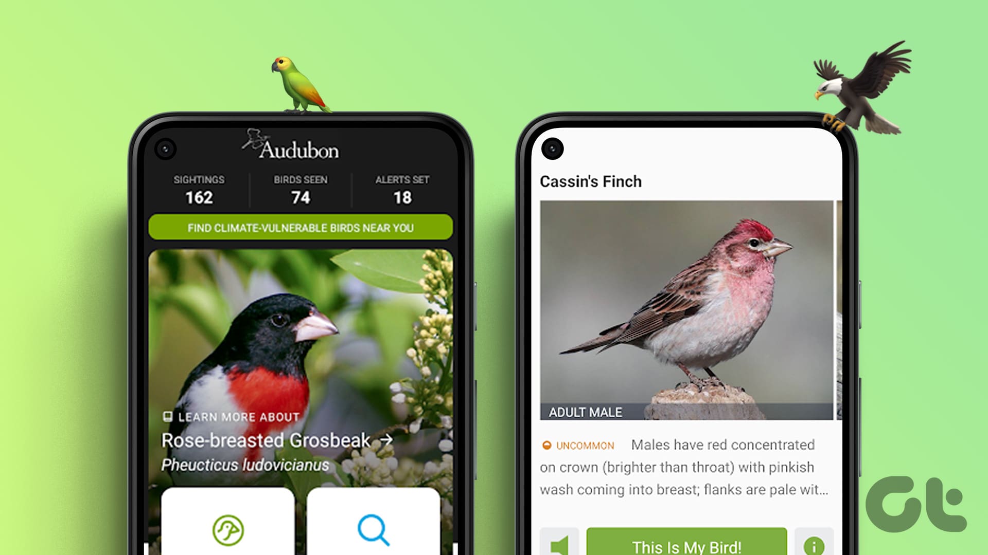 5 Best Bird Identification Apps for Android and iOS