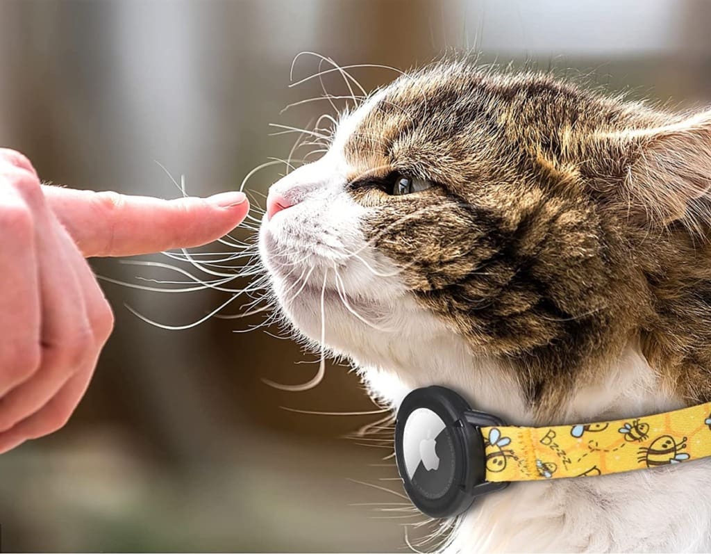 FEEYAR Cat Collar with Apple Air Tag Holder
