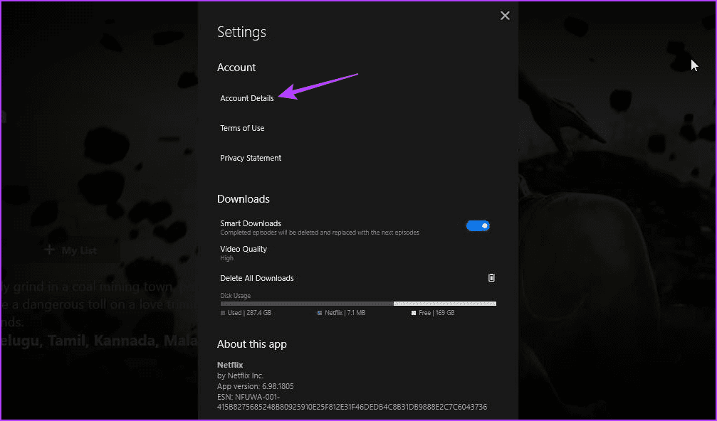 Account details option in Netflix