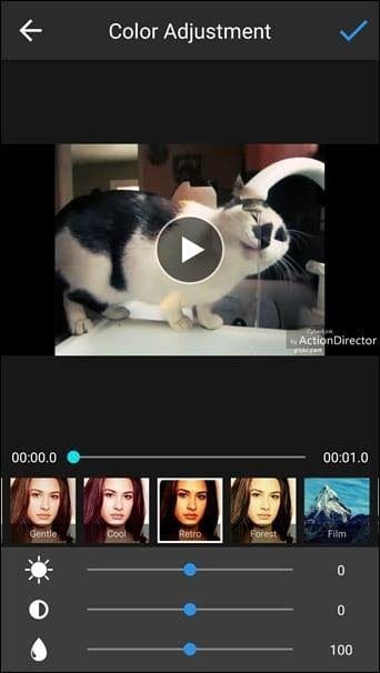 Action Director 1