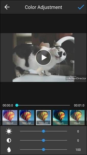 Action Director 2