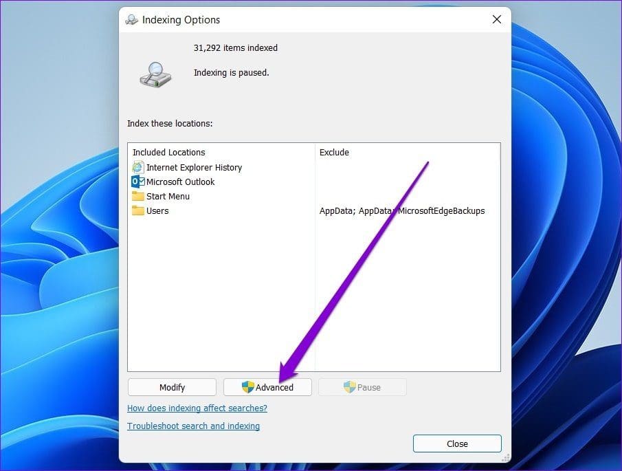 Advanced Indexing Options