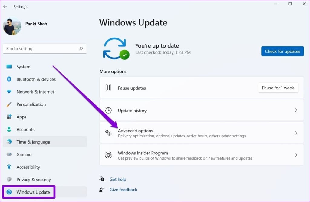 Advanced Options in Windows