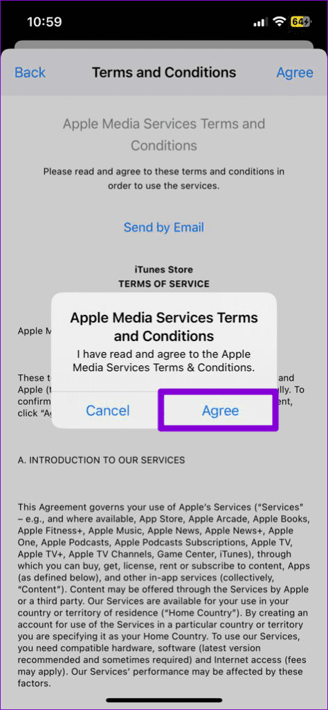 Agree App Store Terms and Conditions