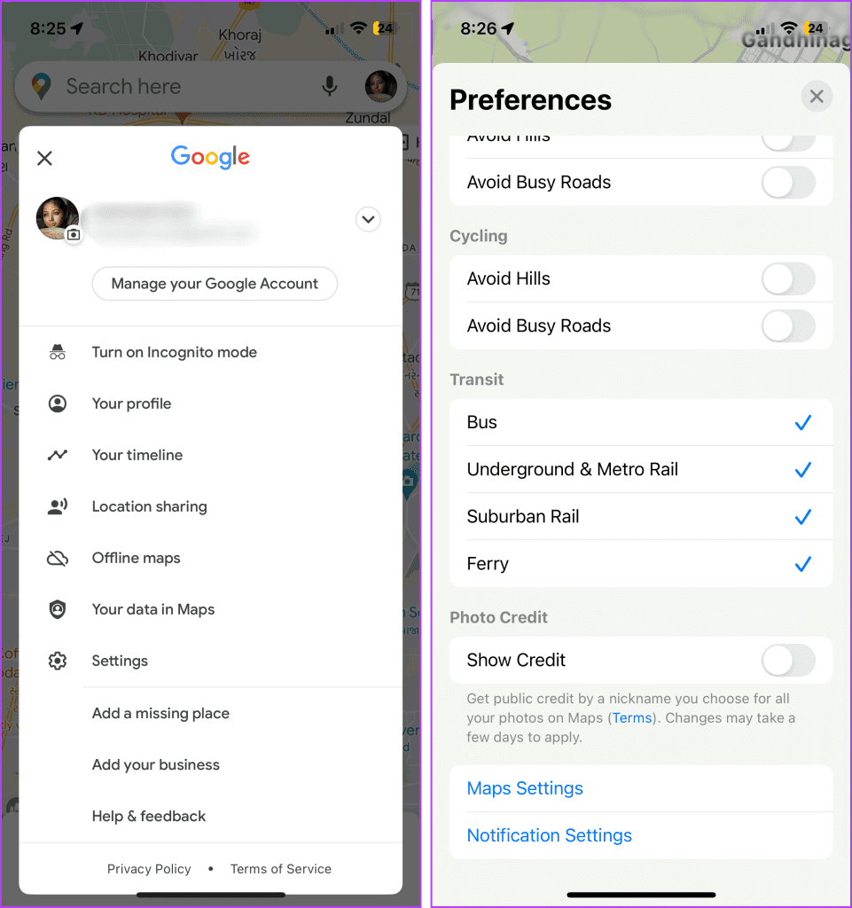 Settings available on Google Maps vs. Apple Maps