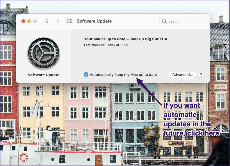Apple Software Update