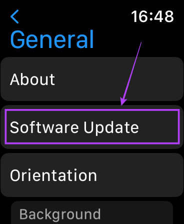 Software update option