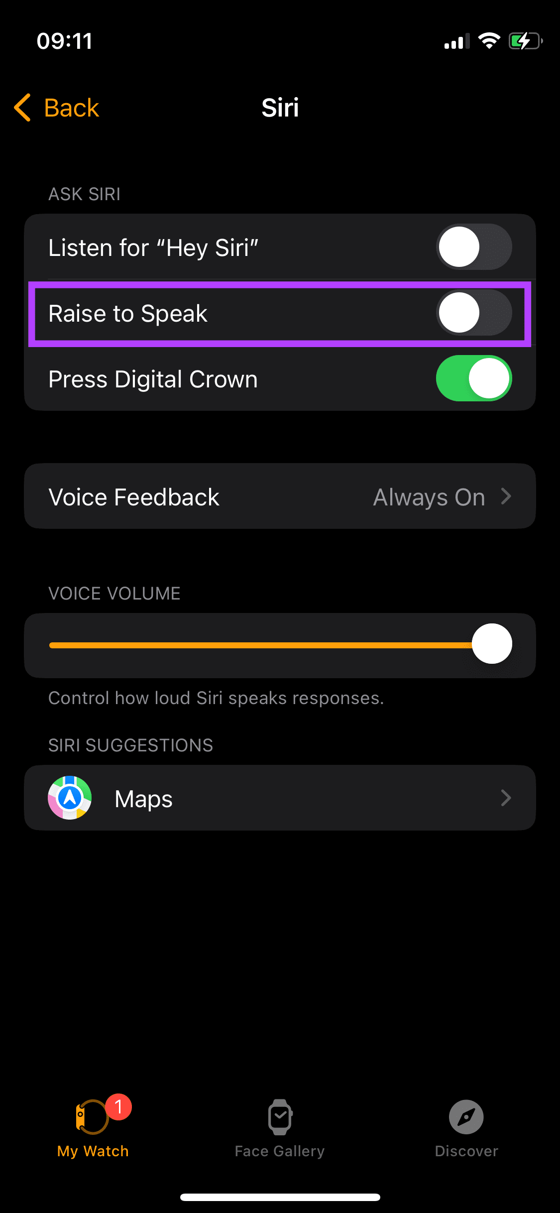 disable raise to speak