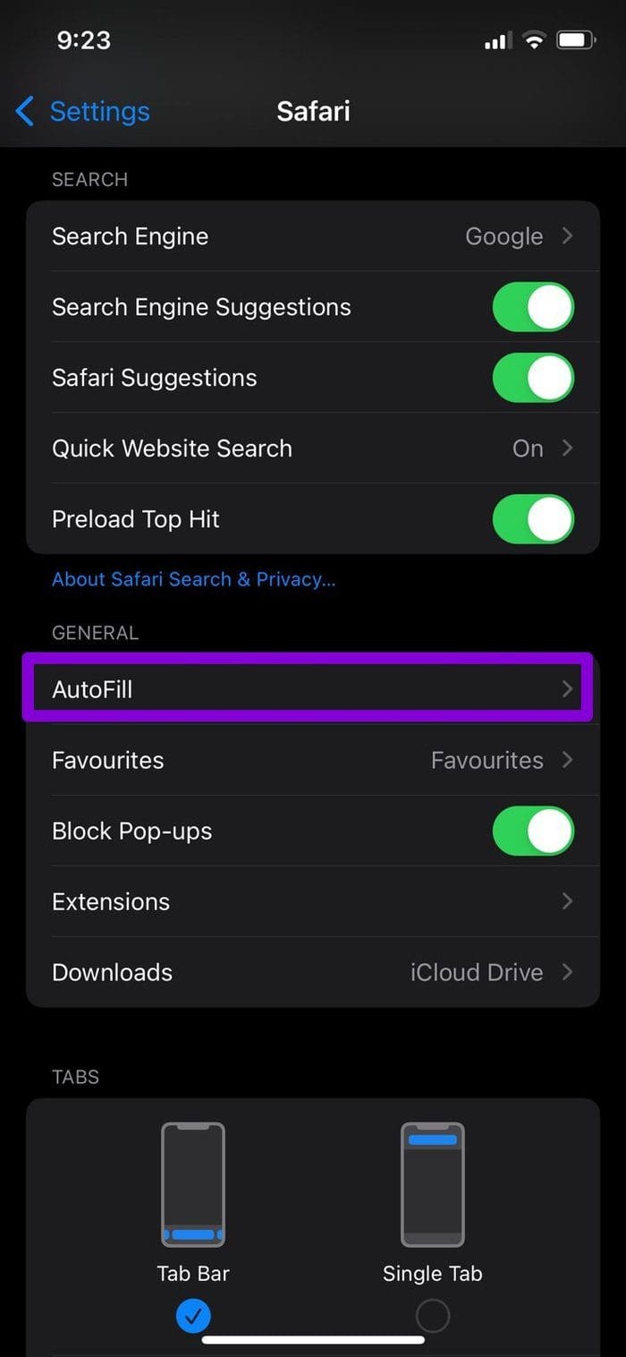 Autofill Settings on i Phone