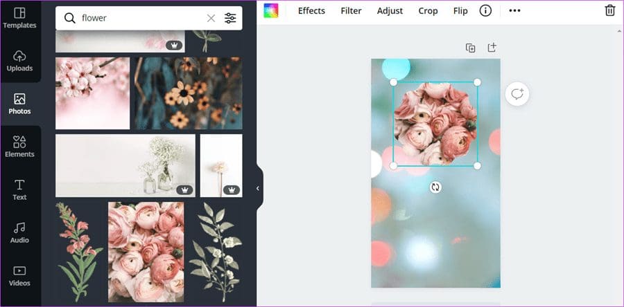 Best Canva Tips and Tricks That You Should Know 2