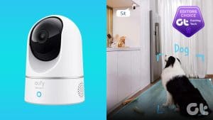 Best Pet Cameras Without Subscription