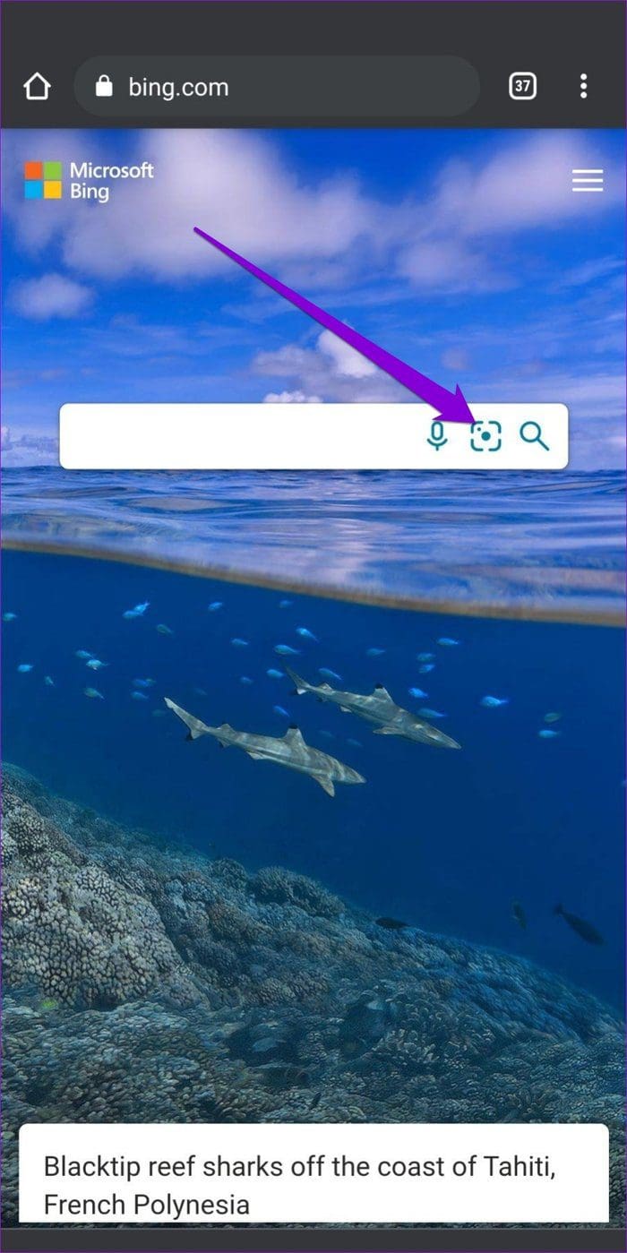 Bing Home Page