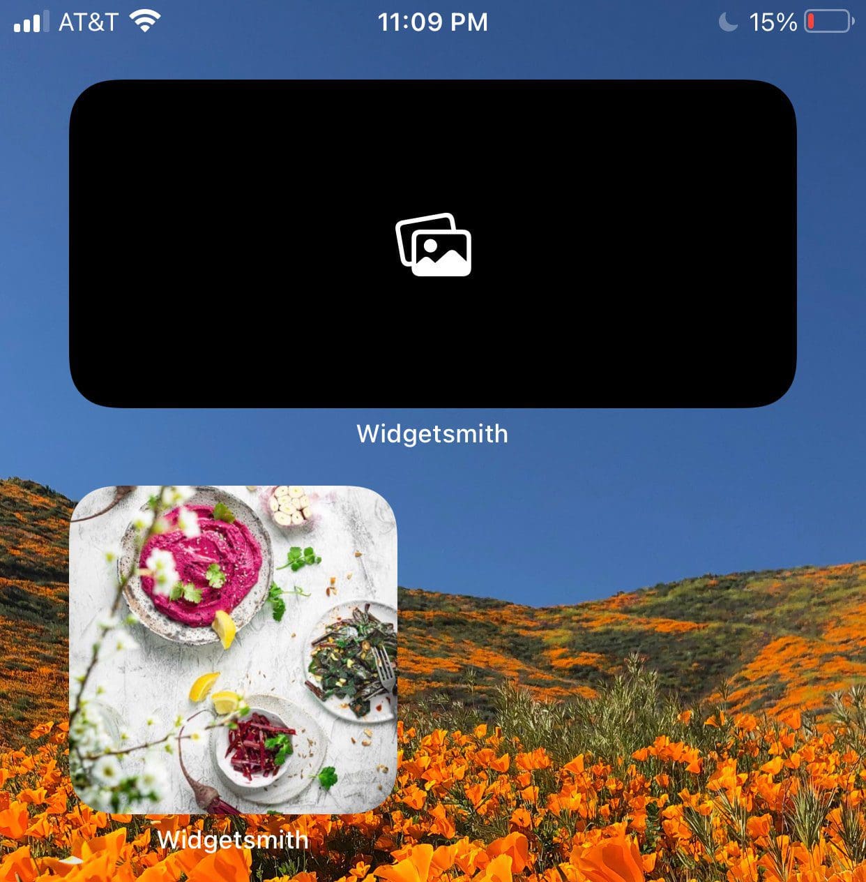 Blank Widget