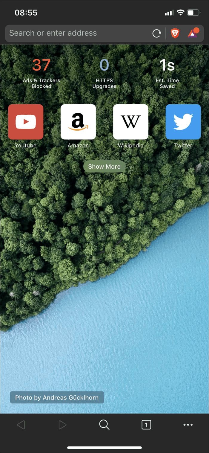 Brave Iphone Ipad Enable Disable Dark Mode 2