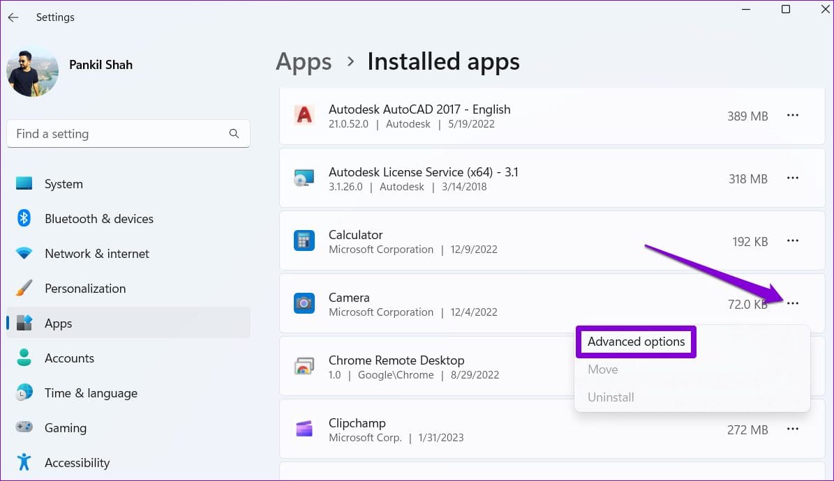 Camera App Advanced Options on Windows