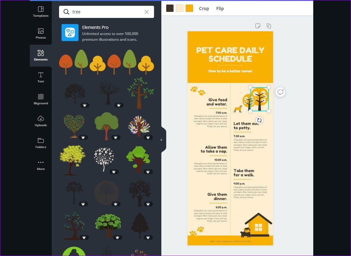 Canva 3