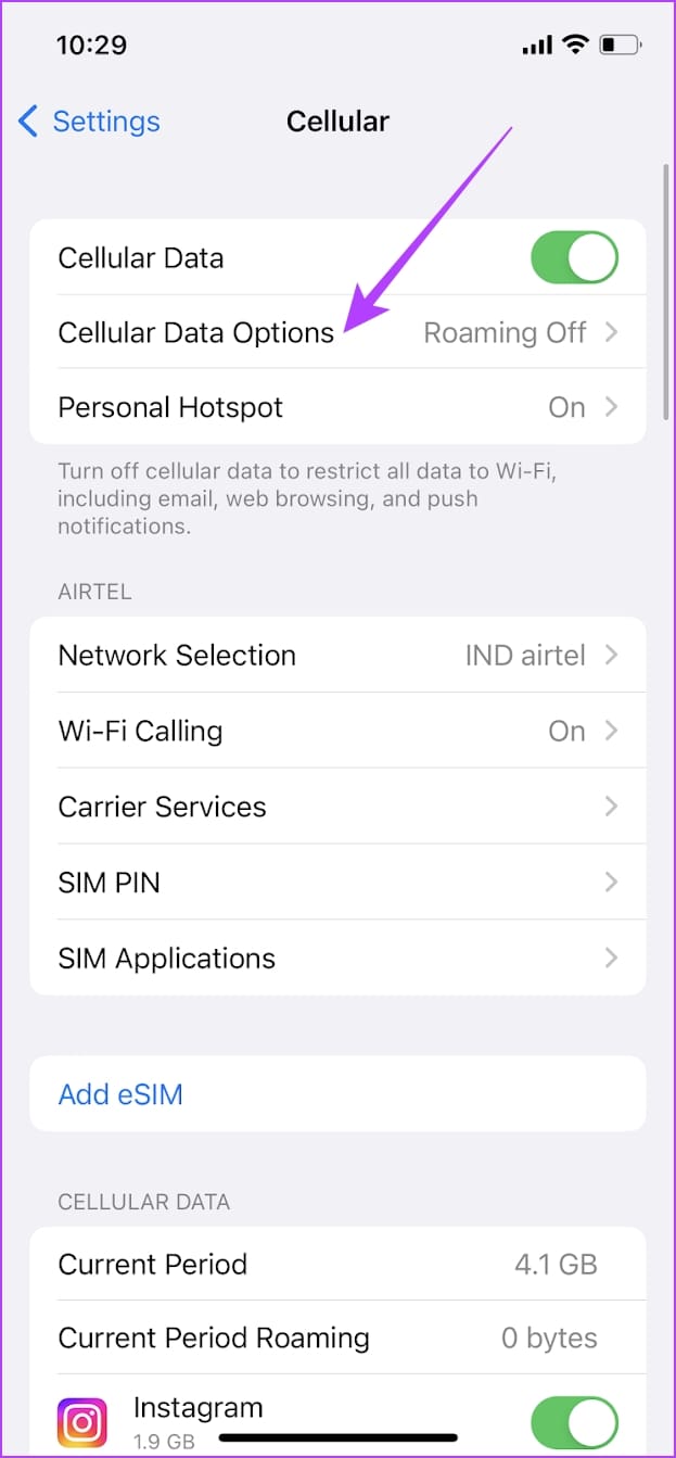 Cellular Data Options