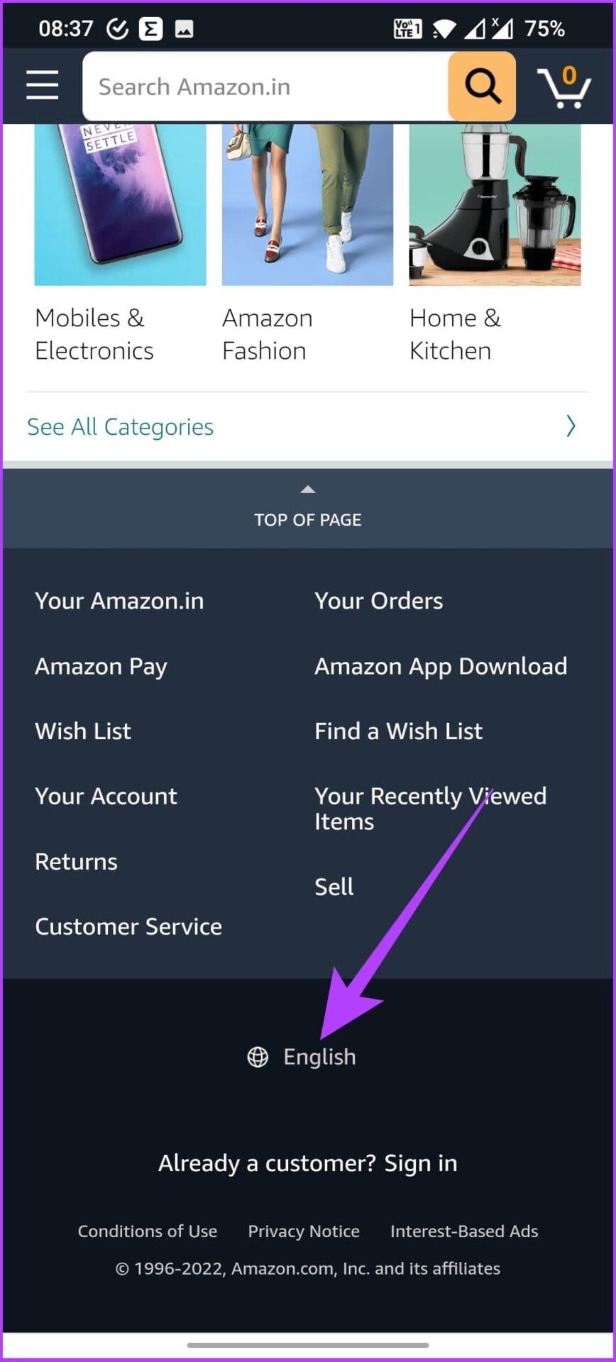 scroll to the bottom to find the globe icon