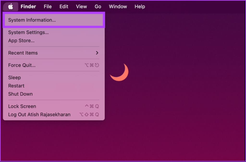 select System Information