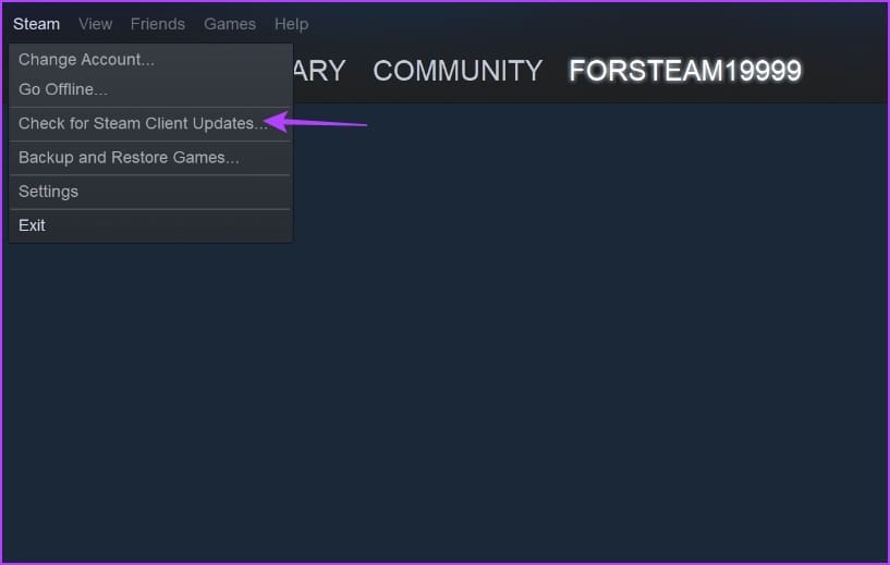 _Check for Steam Client Updates option in the Steam client