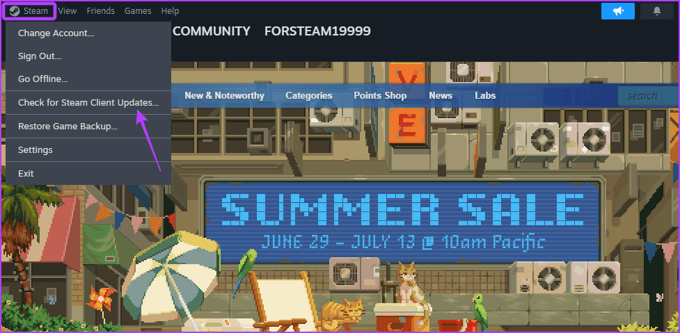 Check for Steam Client Updates option in Steam client
