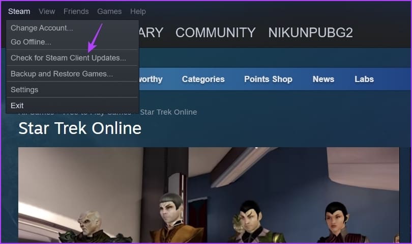 Check for Steam Updates option of Steam client