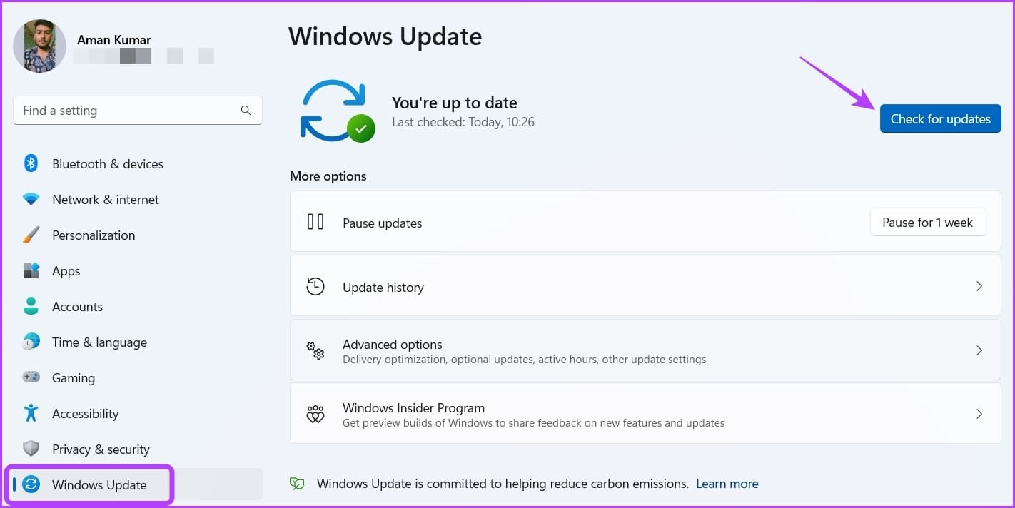 _Check for Updates option in Settings