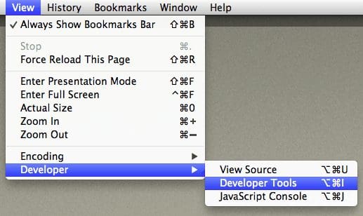 Chrome Developer Menu