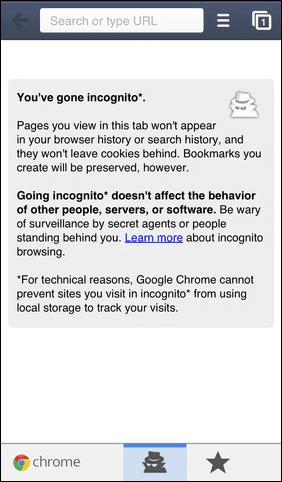 Chrome Incognito