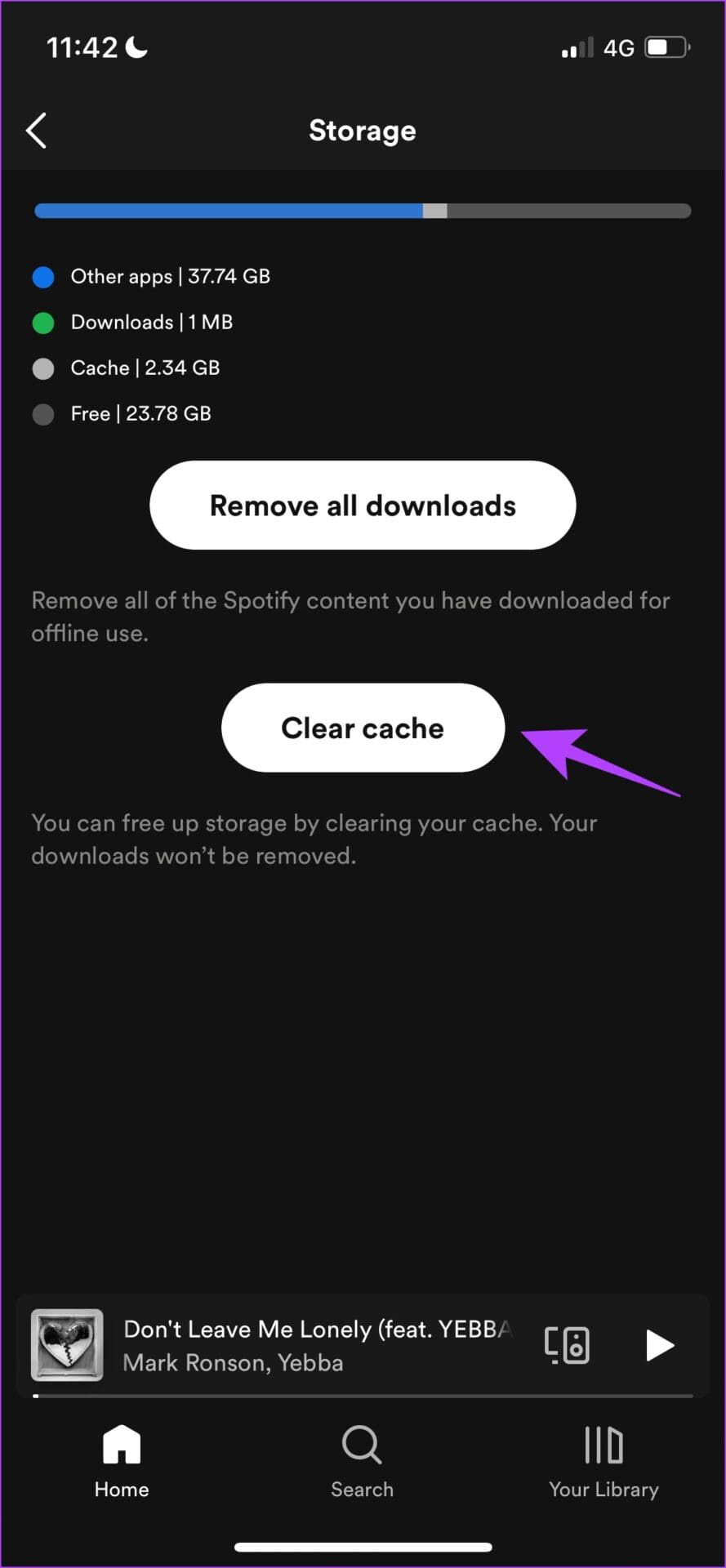 Click on Clear Cache iOS