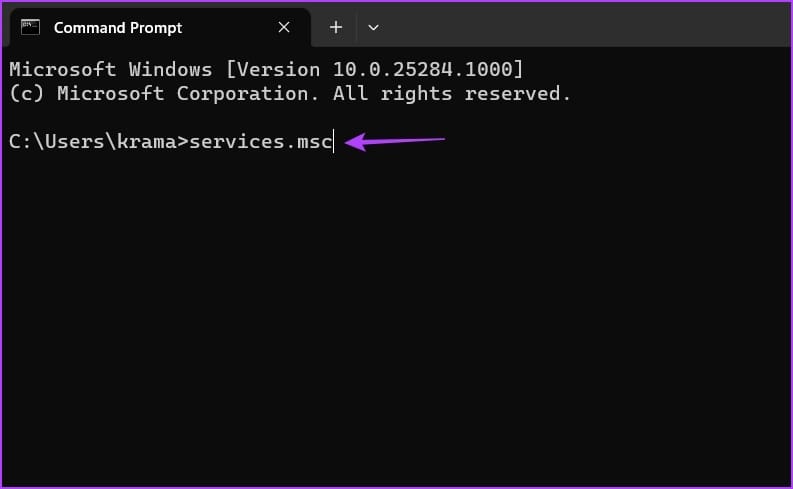 Services command in Command Prompt window