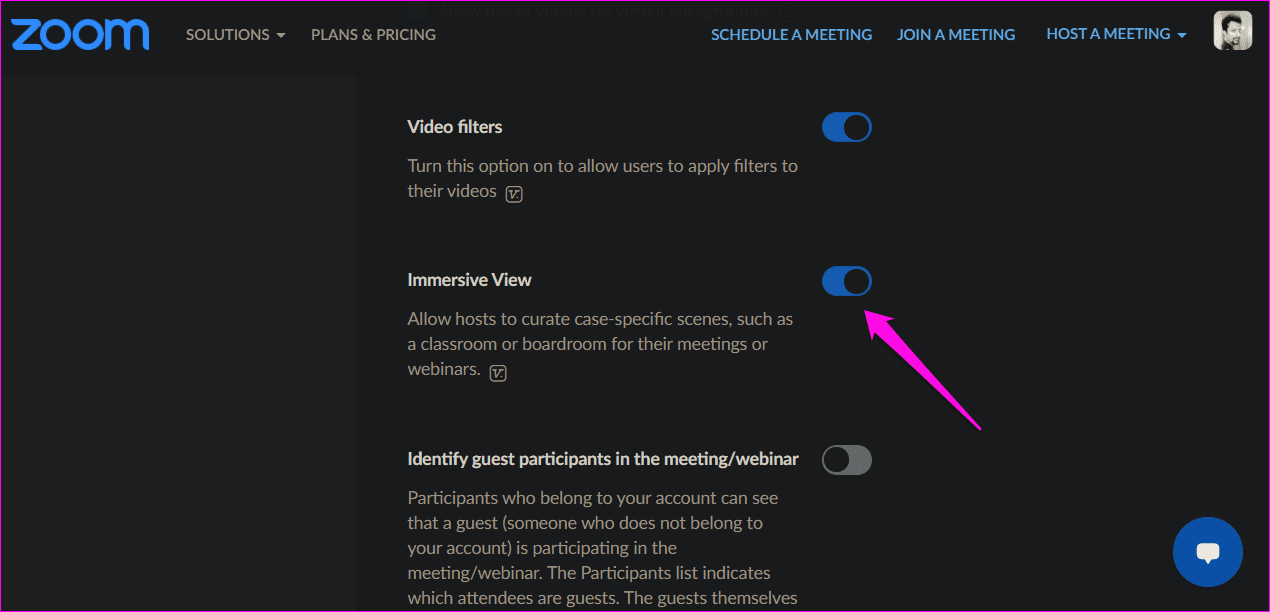 Complete Guide to Using Zooms Immersive View on Windows and Mac 3
