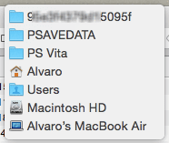 Computer Vita Save Files