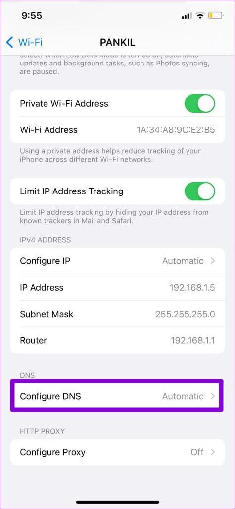 Configure DNS on iPhone
