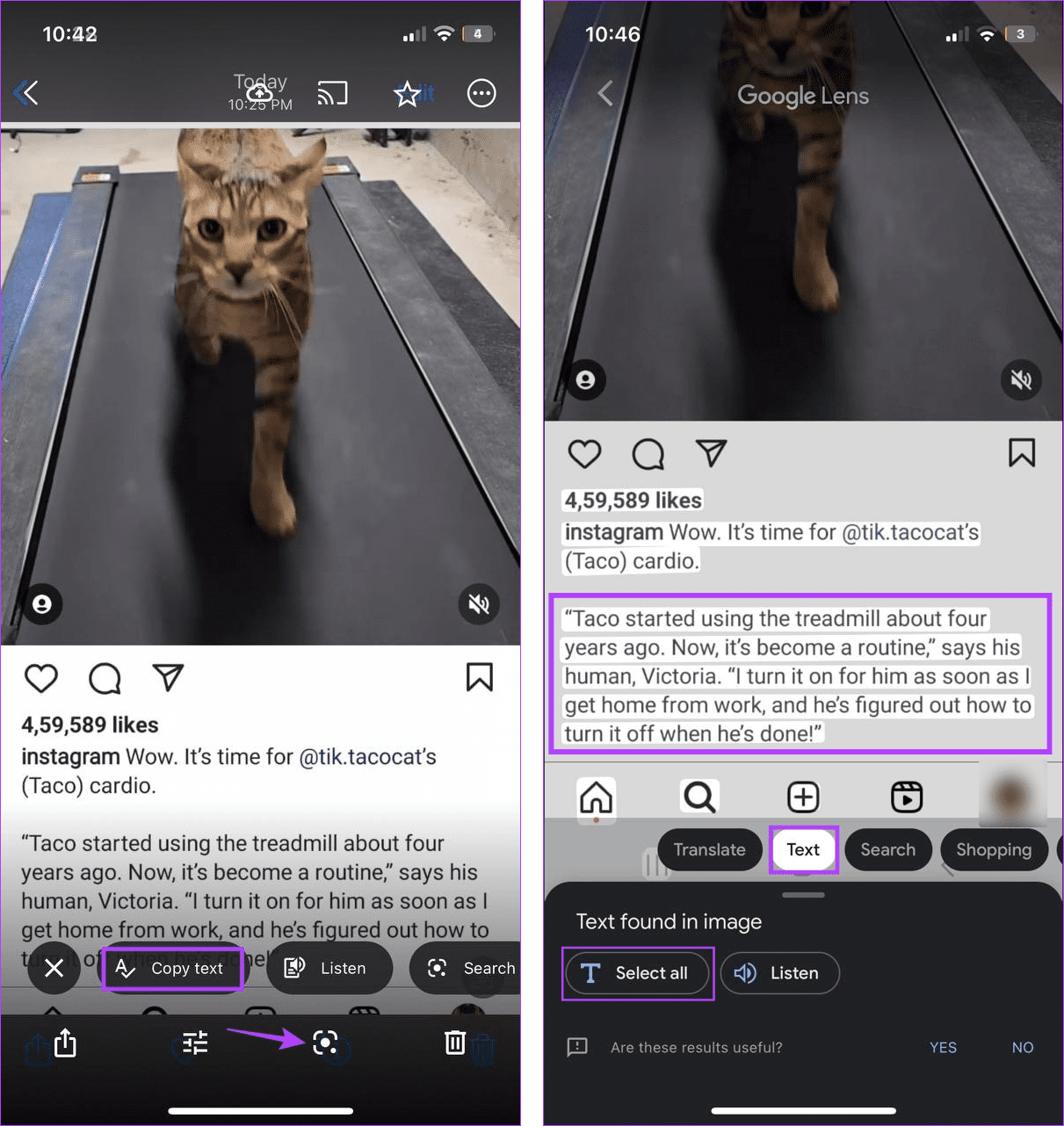 Use Google Lens on iOS to copy text