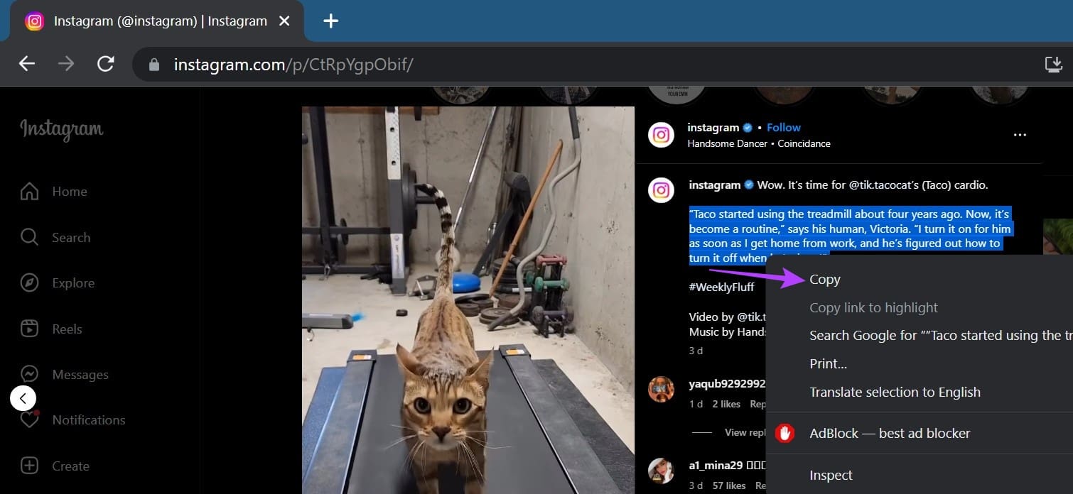 Right-click on text and click on Copy