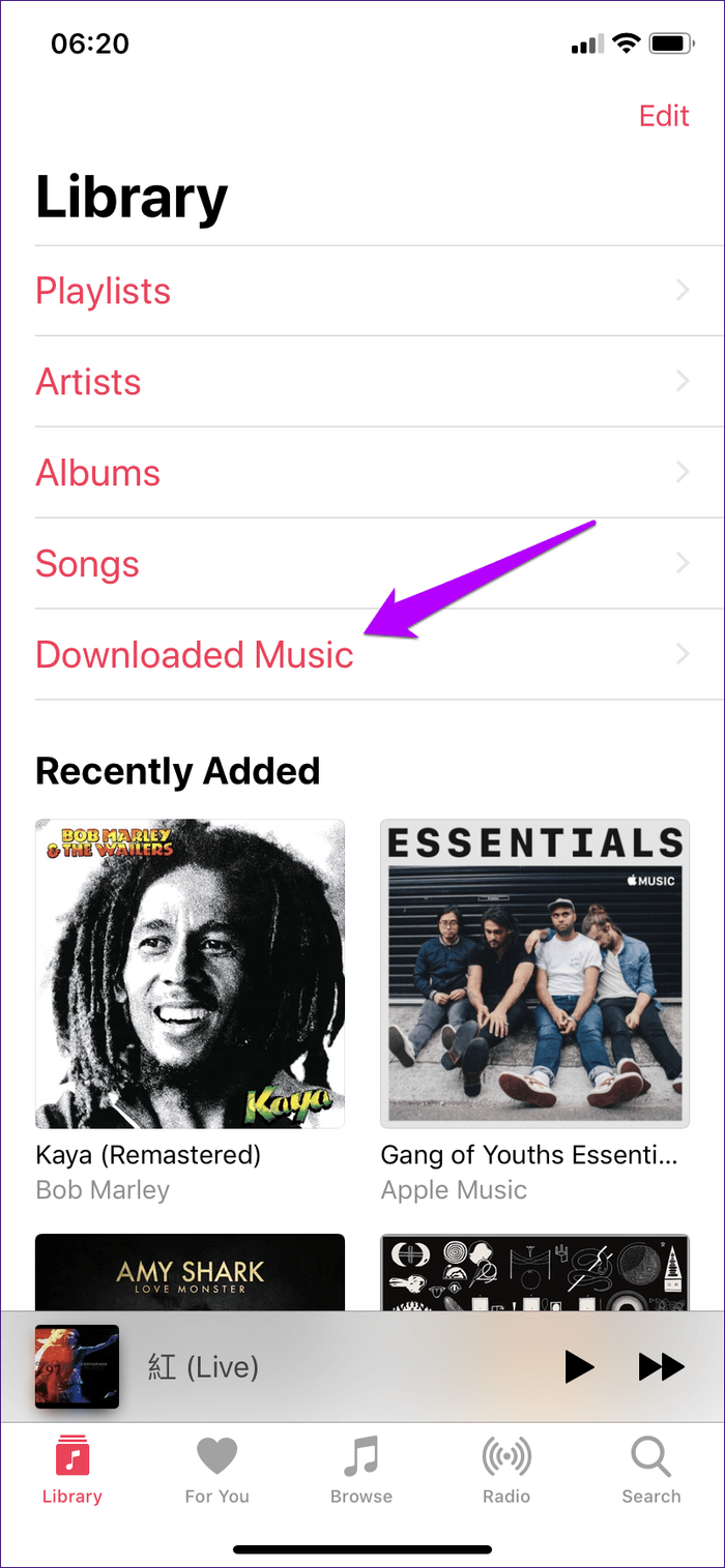 Delete Downloaded Songs Apple Music Iphone 2