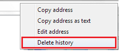 Delete Explorer History