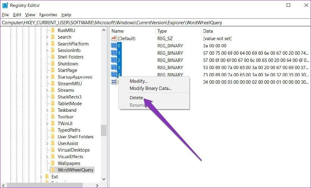 Delete Specific Search Terms via Registry