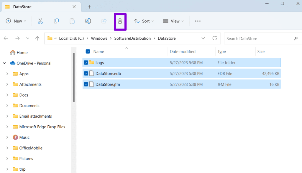 Delete Temporary Files in DataStore Folder