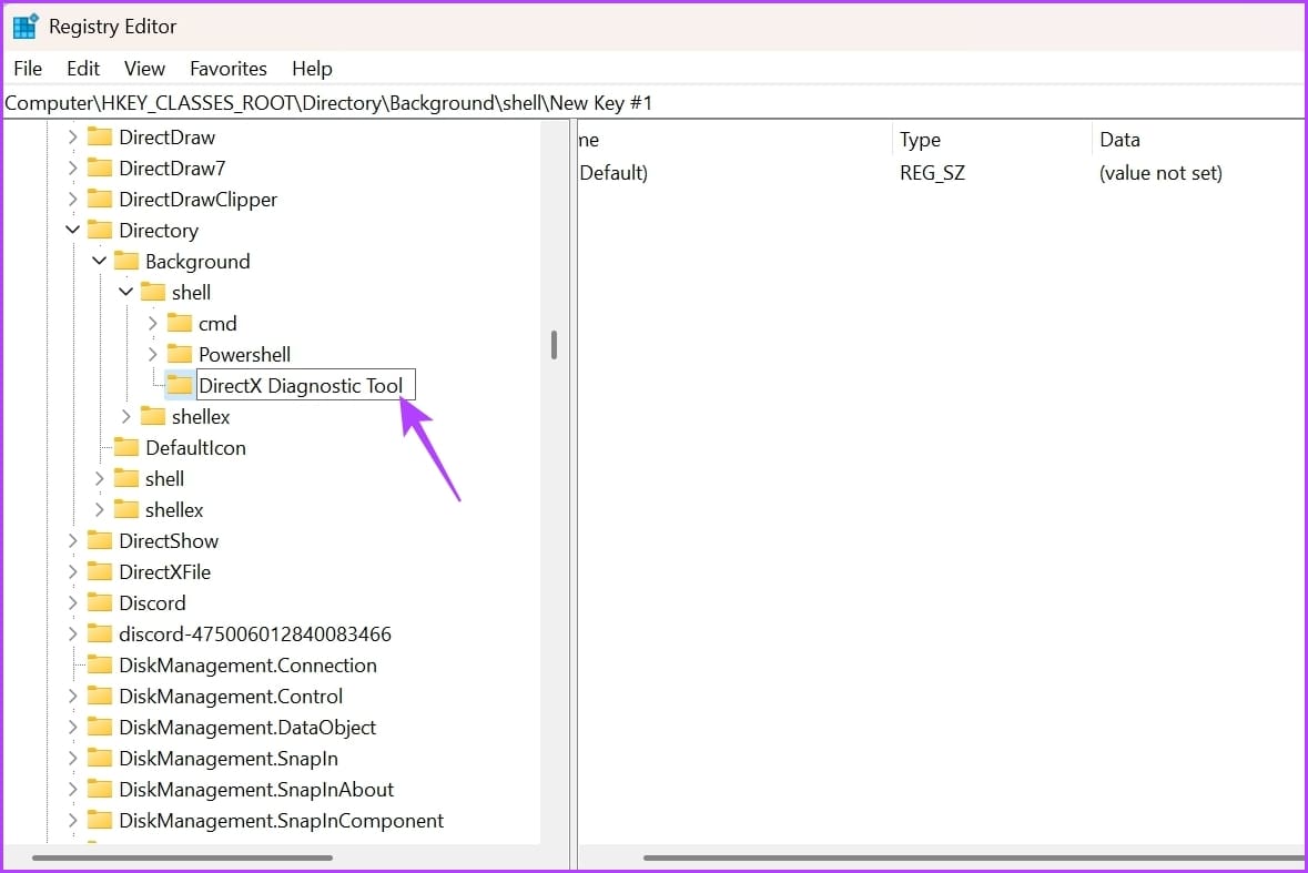 DirectX Diagnostic Tool key In the Registry Editor