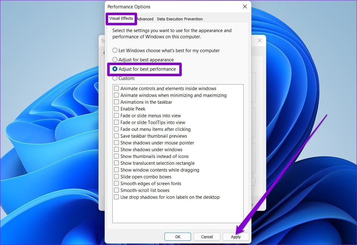 Disable Animations on Windows