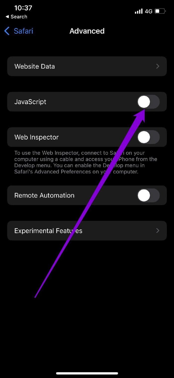 Disable Java Script on Safari