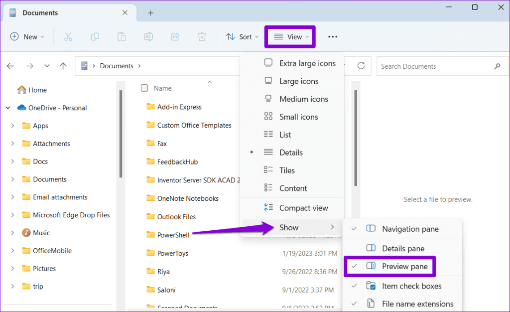 Disable Preview Pane